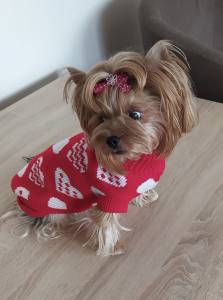 Hundepullover ,Strickpullover für Hunde Lovely HEART RED