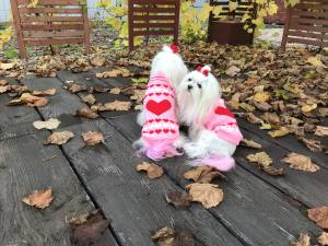 Hundepullover ,Strickpullover für Hunde PINK LOVELY HEART