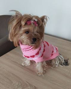 Hundepullover ,Strickpullover für Hunde PINK LOVELY HEART