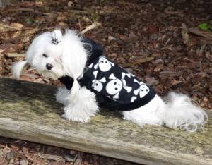 Hundepullover ,Swatshirt ,Kaputzenpulli SKULLY BLACK RESTPOSTEN