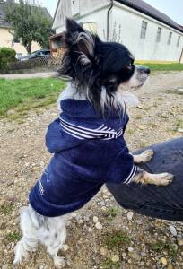 Hundepullover für Hunde BONE Darkblue