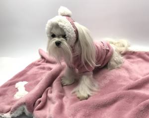 Hundepullover für Weibchen BONE ROSE