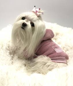 Hundepullover für Weibchen BONE ROSE