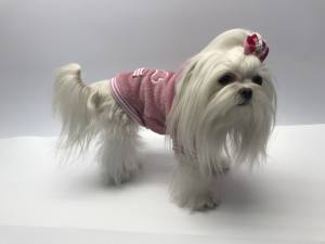Hundepullover für Weibchen BONE ROSE