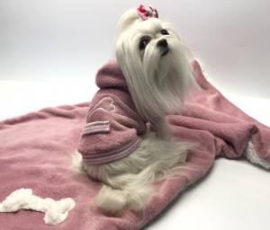 Hundepullover für Weibchen BONE ROSE