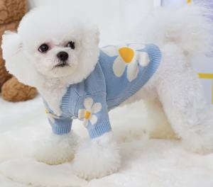 Hundepullover mit Knöpfen für Hunde BLAUE BLUME