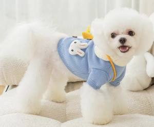 Hundepullover mit Knöpfen für Hunde HASE BLAU