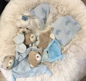 Hundepullover mit Perlen für Hunde HEART Blue