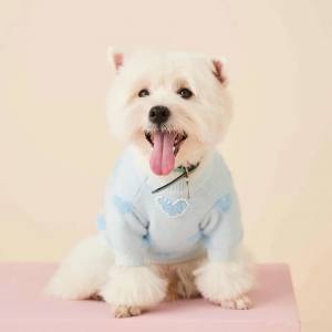 Hundepullover mit Perlen für Hunde HEART Blue