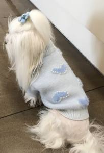 Hundepullover mit Perlen für Hunde HEART Blue