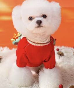 Hundepullover warm Weihnachten Rot schick
