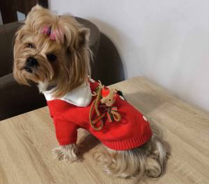 Hundepullover warm Weihnachten Rot schick