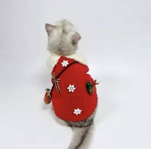 Hundepullover warm Weihnachten Rot schick