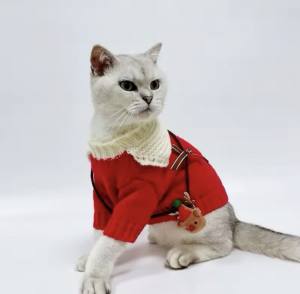 Hundepullover warm Weihnachten Rot schick