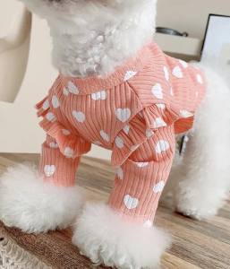 Hundeshirt T-Shirt Apricot SVENJA
