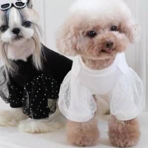 Hundeshirt T-Shirt BLACK CARMEN