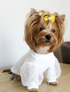 Hundeshirt T-Shirt WHITE CARMEN