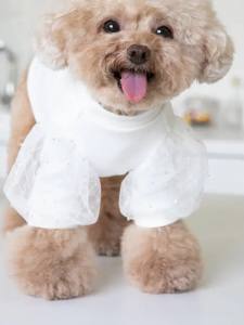 Hundeshirt T-Shirt WHITE CARMEN