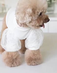 Hundeshirt T-Shirt WHITE CARMEN