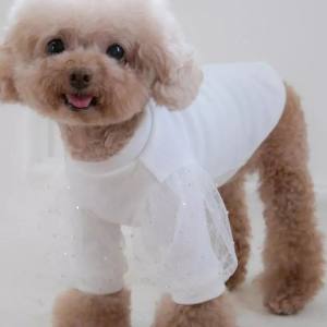 Hundeshirt T-Shirt WHITE CARMEN