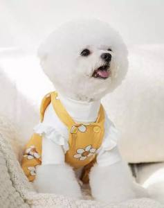 Hundeshirt T-Shirt Weiss Süss