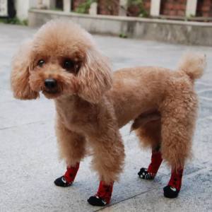 Hundesocken , Katzensocken Gr.M PINK/ DUNKLEBLAU