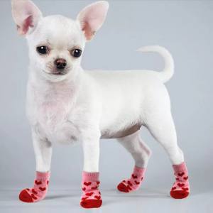 Hundesocken Katzensocken ROSA BÄR