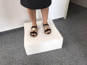 Hundetreppe BIG DogsZone Gr.L /2 -40 cm hoch
