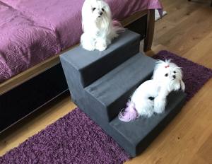 Hundetreppe DogsZone Gr.M/3-42 cm hoch VICTORIA
