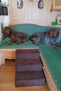 Hundetreppe DogsZone Gr.M/3-42 cm hoch VICTORIA