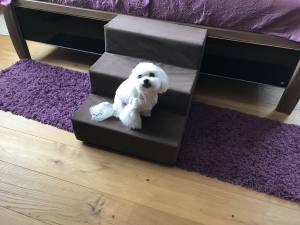 Hundetreppe DogsZone Gr.M/3-42 cm hoch VICTORIA