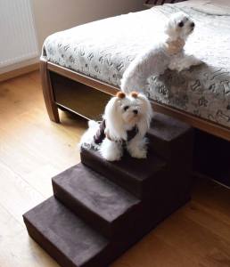 Hundetreppe DogsZone Gr.S/4-40 cm hoch VICTORIA