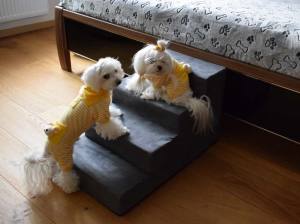 Hundetreppe DogsZone Gr.S/4-40 cm hoch VICTORIA
