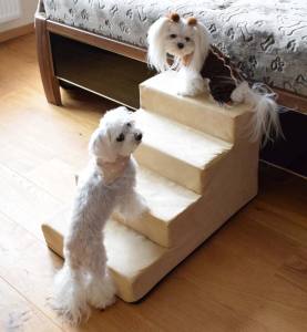 Hundetreppe DogsZone Gr.S/4-40 cm hoch VICTORIA