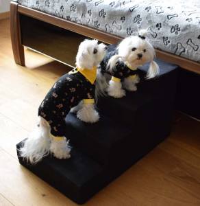 Hundetreppe DogsZone Gr.S/4-40 cm hoch VICTORIA