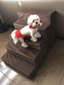 Hundetreppe DogsZone Gr.S/5-50 cm hoch VICTORIA