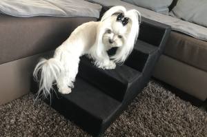 Hundetreppe DogsZone KUNSTLEDER /STOFF Gr.S/4-40 cm hoch RESTSTÜCKE