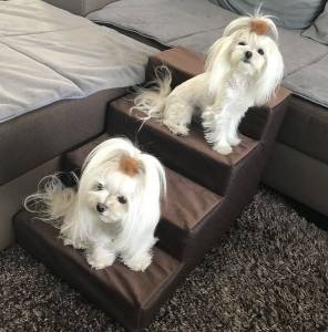 Hundetreppe DogsZone KUNSTLEDER /STOFF Gr.S/4-40 cm hoch RESTSTÜCKE