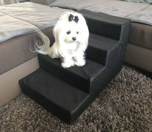 Hundetreppe DogsZone KUNSTLEDER /STOFF Gr.S/4-40 cm hoch RESTSTÜCKE