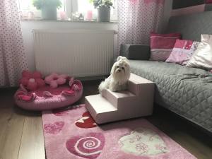 Hundetreppe KUNSTLEDER HERZ Gr.S/3-30 cm hoch