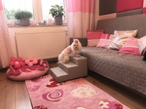 Hundetreppe KUNSTLEDER HERZ Gr.S/3-30 cm hoch