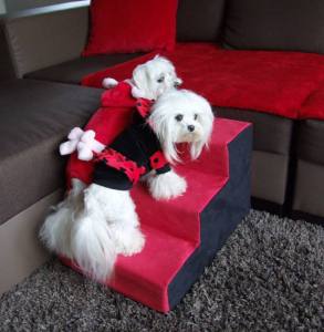 Hundetreppe DogsZone VICTORIA 2 in Wildlederoptik Gr.S/3