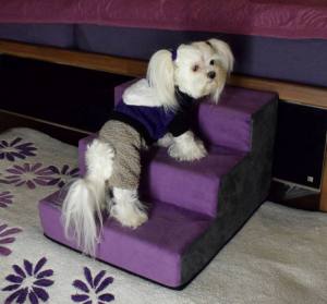 Hundetreppe DogsZone VICTORIA 2 in Wildlederoptik Gr.S/3