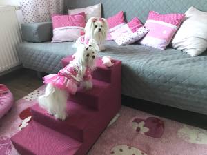 Hundetreppe INARI DogsZone Gr.S/4-40 cm hoch