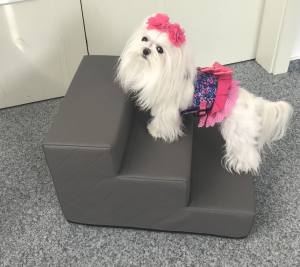 Hundetreppe KUNSTLEDER CLASSIC Gr.S/3-30 cm hoch Hundetreppe KUNSTLEDER CLASSIC Gr.S/3-30 cm hoch