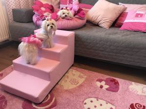 Hundetreppe KUNSTLEDER HERZ Gr.S/3-30 cm hoch