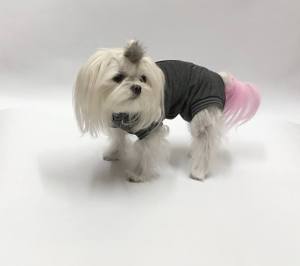 Katzen und Hunde OP Body  Schutzhose GRAU NEW