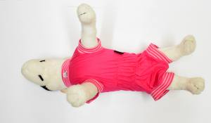 Katzen und Hunde OP Body Schutzhose PINK NEW