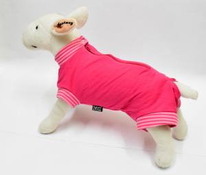Katzen und Hunde OP Body Schutzhose PINK NEW