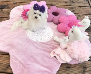 Kleidchen Shirt MAGIC GARDEN für Hunde